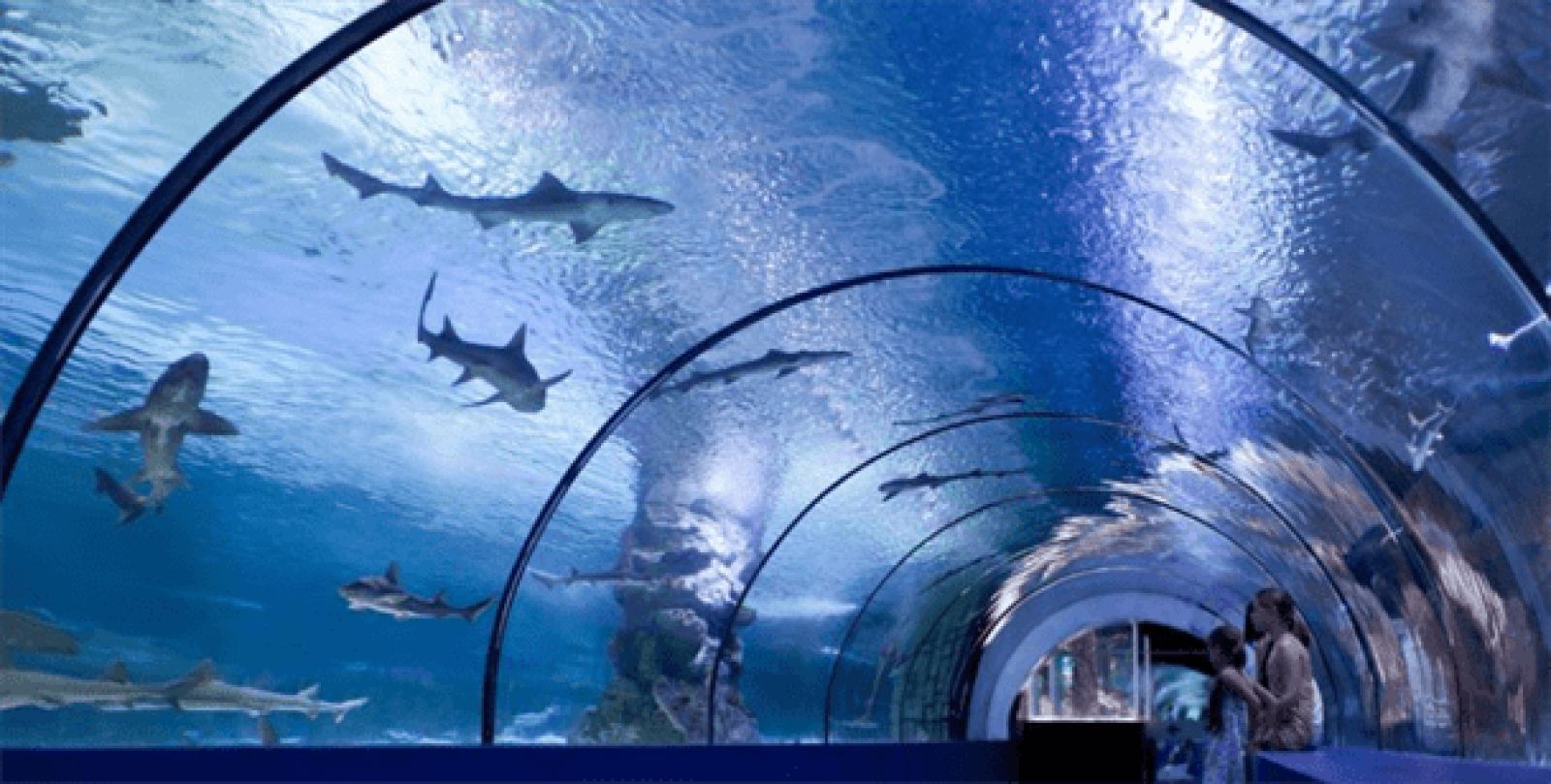 Antalya Aquarium